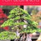 Indoor Bonsai for Beginners: Selection - Care - Training