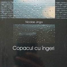 COPACUL CU INGERI (CU DEDICATIA AUTORULUI)-NICOLAE JINGA