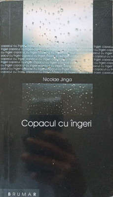 COPACUL CU INGERI (CU DEDICATIA AUTORULUI)-NICOLAE JINGA foto