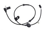 Senzor ABS fata Hyundai Trajet 2000-, Stanga, NTY HCA-HY-525