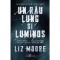Un rau lung si luminos, Liz Moore