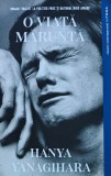 Cumpara ieftin O viata marunta - 2022 - Hanya Yanagihara ($R38)