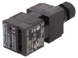 &Icirc;ntrerupător de Siguranță cu Cheie AZ 17 NC x2 IP67 Plastic
