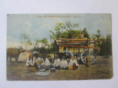 Rara! Carte postala necirculata:satra de tigani romani aproximativ 1905 foto