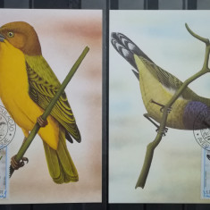 BC16, Lot 10 carti postale necirculate Sao Tome- pasari
