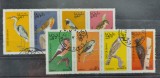 TS21 - Timbre serie State of Oman - Pasari Fauna, Stampilat