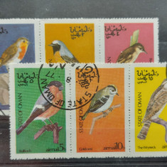TS21 - Timbre serie State of Oman - Pasari Fauna