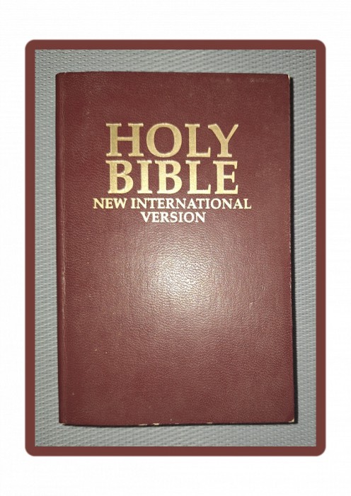 THE HOLY BIBLE * NEW INTERNATIONAL VERSION (1984)