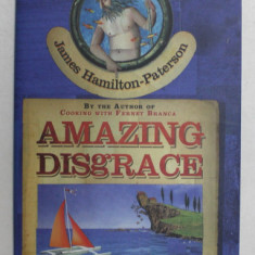 AMAZING DISGRACE , a novel by JAMES HAMILTON - PATERSON , 2006