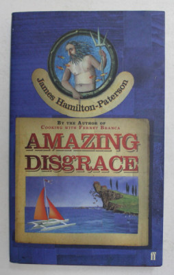 AMAZING DISGRACE , a novel by JAMES HAMILTON - PATERSON , 2006 foto