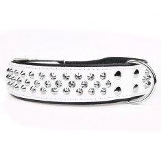 Zgarda cu capse , alb cu negru 5 cm x 61 - 73 cm foto