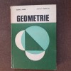 Geometrie - Edwin E. Moise, Floyd L. Downs