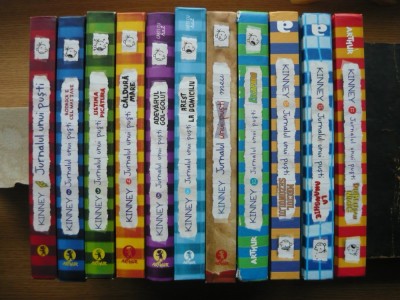 JURNALUL UNUI PUSTI - lot 11 volume - 2010 - 2021 foto