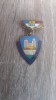 QW9 L 5 - Insigna - tematica comunism - Fruntas in gospodarirea orasului an 1969, Romania de la 1950