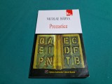 PROZASTICE * NICOLAE B&Acirc;RNA / 2004 * 4