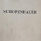 Schopenhauer - Ion Petrovici