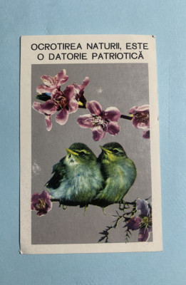 Calendar 1980 ocrotiți natura foto