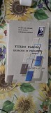 Octavian Dogaru Dana Petcu Gheorghe Petrov - Turbo Pascal exercitii si probleme