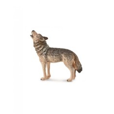 Lup urland - Collecta
