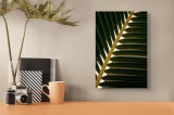 Tablou Canvas, "Geometria frunzelor de palmier", Frunze, Verde, Natură, Textură, Lumină, Umbră, Armonie, Simetrie, 26 x 39 cm, CMCLASS