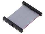 Cablu panglică dublu conector IDC 44,45mm SAMTEC FFSD-25-D-01.75-01-N