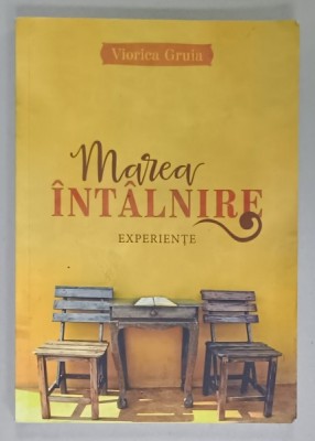 MAREA INTALNIRE , EXPERIENTE de VIORICA GRUIA , 2017 foto