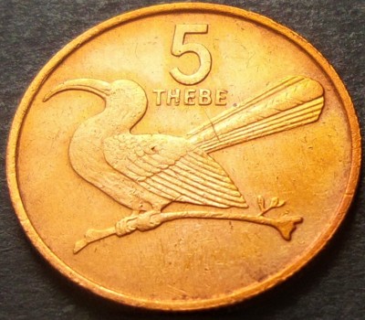 Moneda exotica 5 THEBE - BOTSWANA, anul 1981 *cod 3098 foto