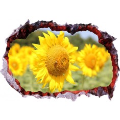 Sticker decorativ, Gaura in perete 3D, Floarea soarelui, 85 cm, 336STK-1