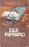 Roman Grigore Cojan - Zile fierbinti, 1986, Brosata, 236 pagini, 13x20 cm