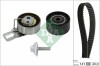 INA 530 0698 10 Set curea de distributie