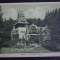 AKVDE23 - Sinaia - Castelul Pelisor - Necirculat