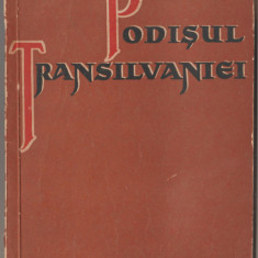 Mircea Ilie - Podisul Transilvaniei