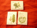 Serie Brazilia 1989 - Flora , 3 valori