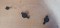 Foto  - 1