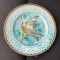 Impresionanta farfurie din MAJOLICA de MEISSEN sfarsit de secol 19 - rara!!!