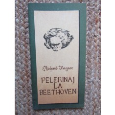 Richard Wagner - Pelerinaj la Beethoven