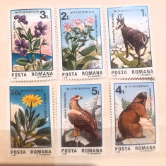 Romania 1985 LP 1135 Parcul Retezat , fauna flora 6v. 6V.mnh foto