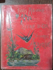 Le livre dor des voyages. Afrique - Louis Mainard foto