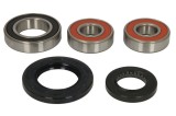 Cumpara ieftin Kit rulment roata spate (cu etansanti) pentru SUZUKI DL 650/1000 2002-2016