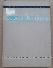 (C491) D. VATAMANIUC - I. POPOVICI-BANATEANUL foto