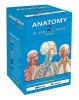Anatomy 2