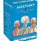 Anatomy 2