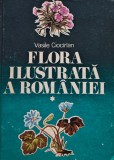 Flora ilustrată a Rom&acirc;niei, volumul 1. Determinarea și descrierea speciilor spontane și cultivate - 1988 - Vasile Ciocirlan (@P71)