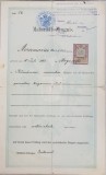 MATURITATS ZEUGNIS - CERTIFICAT DE MATURITATE , EMIS LA CERNAUTI , DATAT1901, STARE AVANSATA DE UZURA *