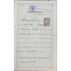 MATURITATS ZEUGNIS - CERTIFICAT DE MATURITATE , EMIS LA CERNAUTI , DATAT1901, STARE AVANSATA DE UZURA *