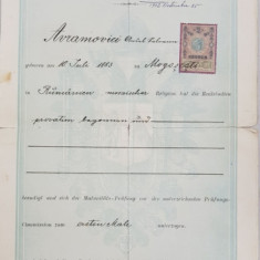 MATURITATS ZEUGNIS - CERTIFICAT DE MATURITATE , EMIS LA CERNAUTI , DATAT1901, STARE AVANSATA DE UZURA *