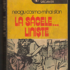 C9810 - LA SACELE... LINISTE DE NEAGU COSMA SI MIHAI STAN