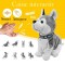 Catel Husky interactiv, latra, se misca, jucarie din plus, alimentare baterii