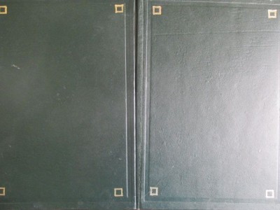 Dictionar medical 2 volume-: P. Simici, A. Mincu, G. Ionescu-Amza, Stela Carnaru foto