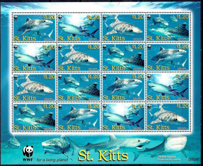 WWF ST KITTS 2007-Groth nr 403-Tiger shark-Coala cu serii de cate 4 timbre MNh
